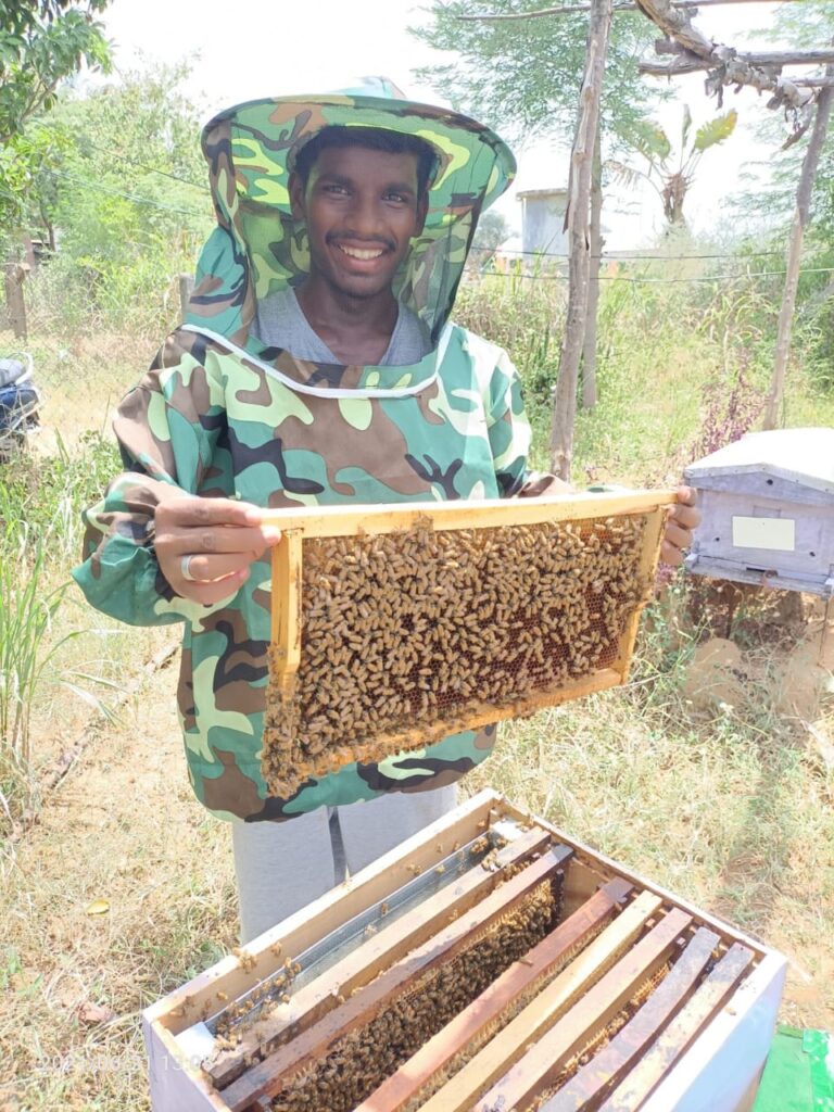 Bees Hives